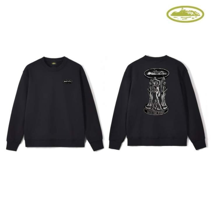 Picture of Corteiz Sweatshirt _SKUCorteizS-2XLastxC105631447